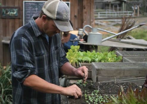 Matt Drewno uses a widger in the garden